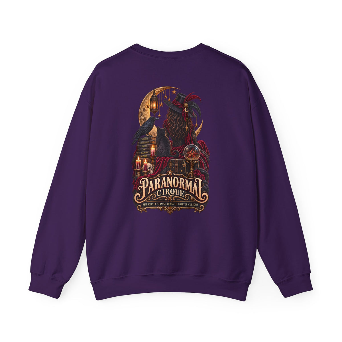 Paranormal Cirque | Real Souls, Strange Things & Forever Curious Gothic Shirt